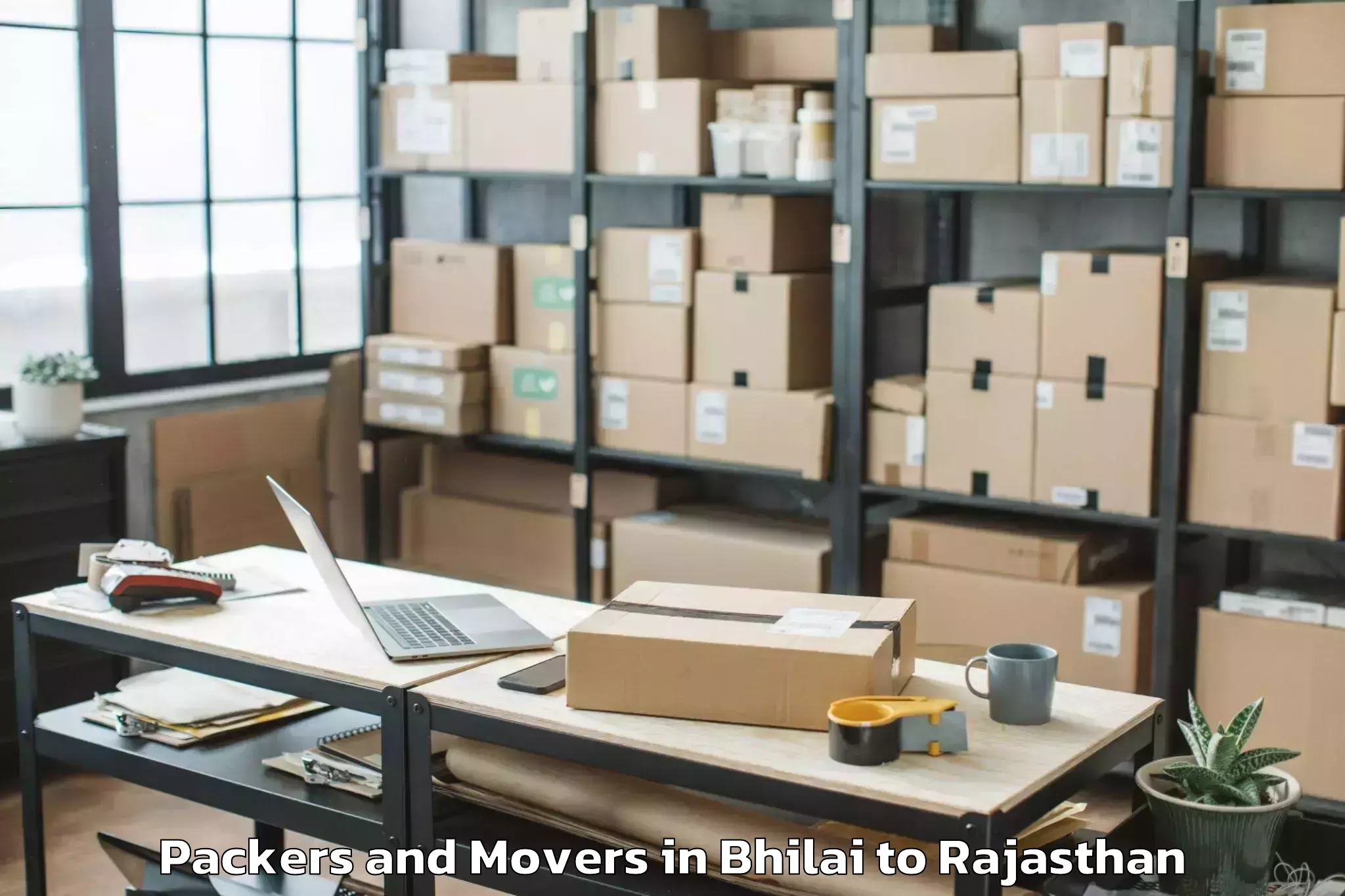 Professional Bhilai to Kishangarh Bas Packers And Movers